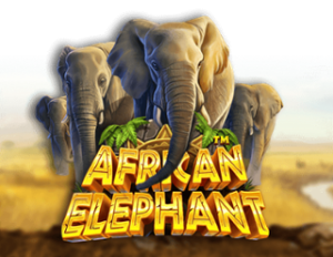 African Elephant