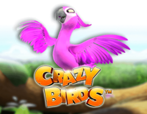 Crazy Birds