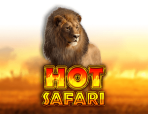 Hot Safari