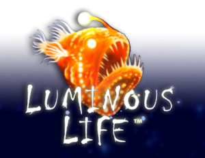 Luminous Life