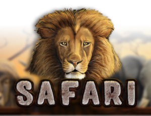 Safari