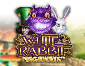 White Rabbit