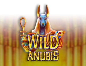 Wild Anubis