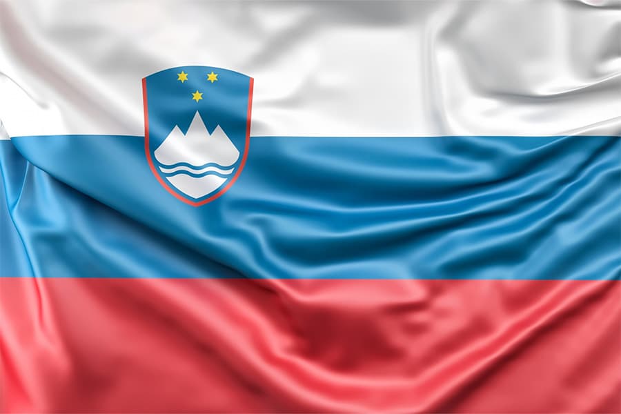 slovenia-steag