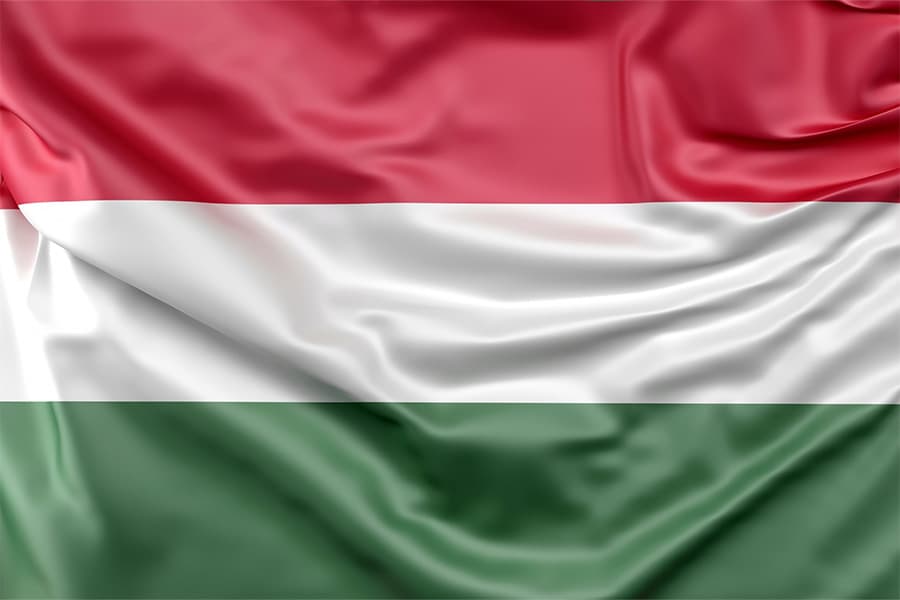 ungaria-steag